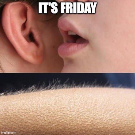 friday meme about it being exciting to be friday