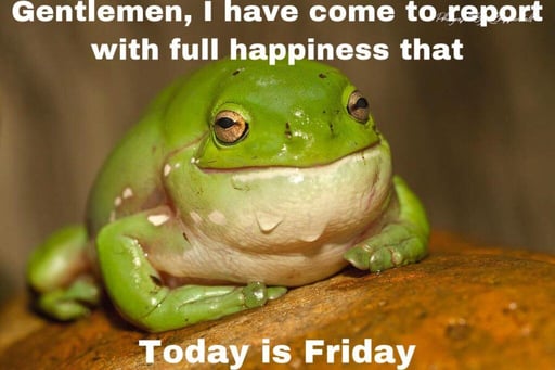 Friday meme about a frog (toad?) reporting that it is friday.