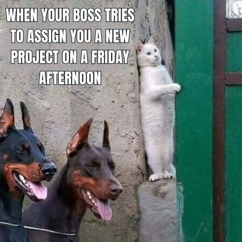 friday meme about hiding from your boss