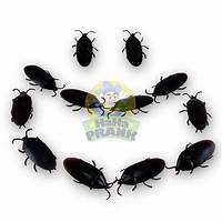 12 Fake Cockroaches - Realistic Rubber Cockroach Prank Gag Joke | eBay