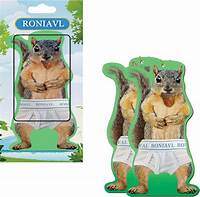 Amazon.com: RONIAVL Squirrel in Underpants Deluxe Air Freshener Vanilla ...